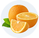 Thế giới trái cây